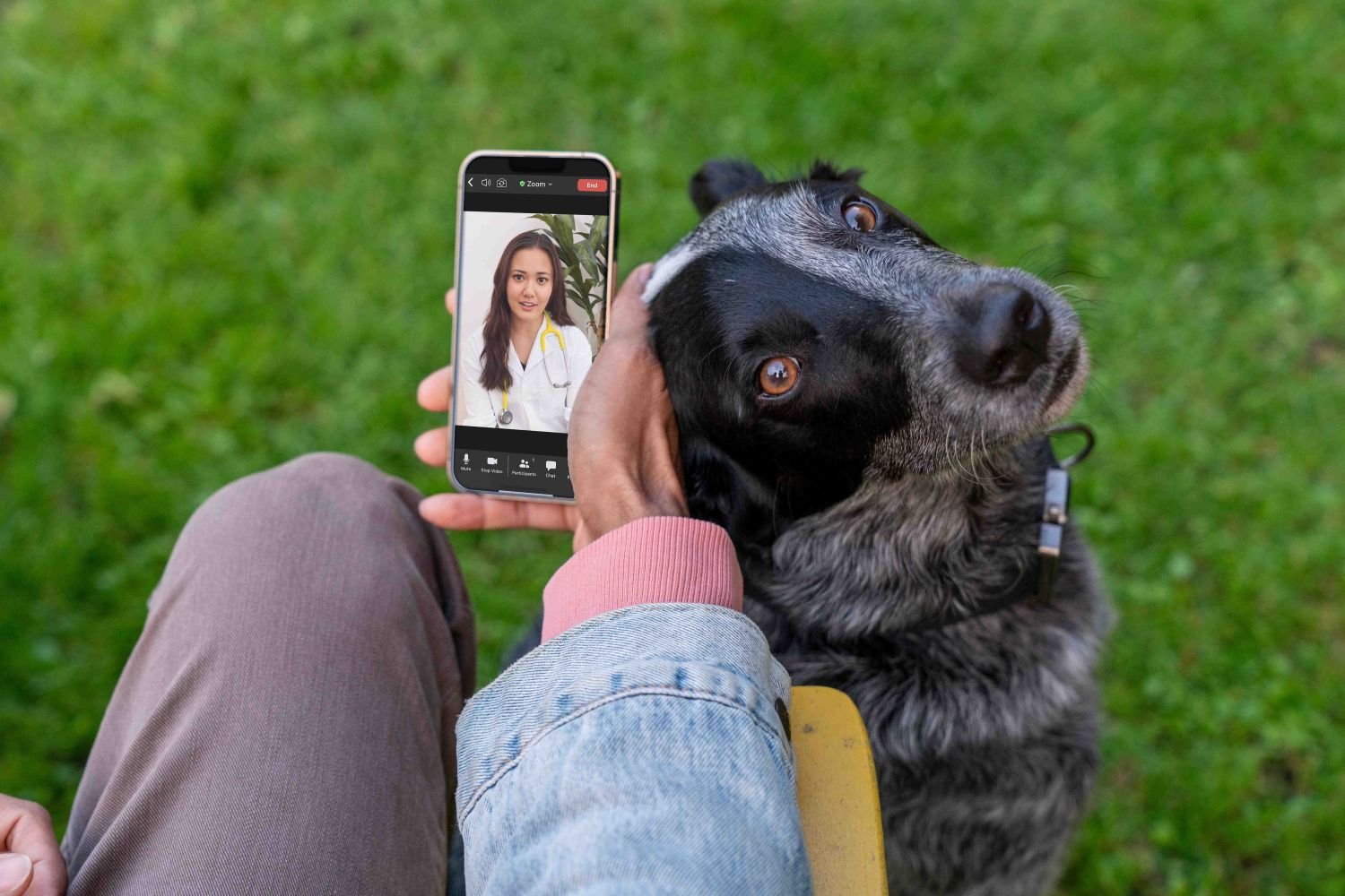 Dutch Online Vet Care