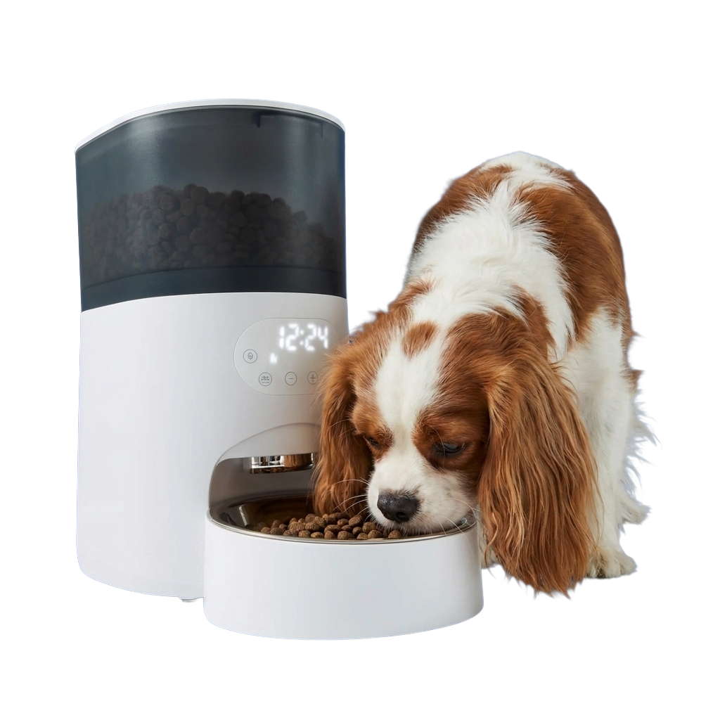 dog eating from automatic pet feeder