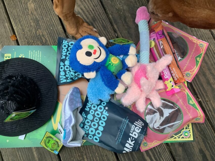 Barkbox dog subscription box items