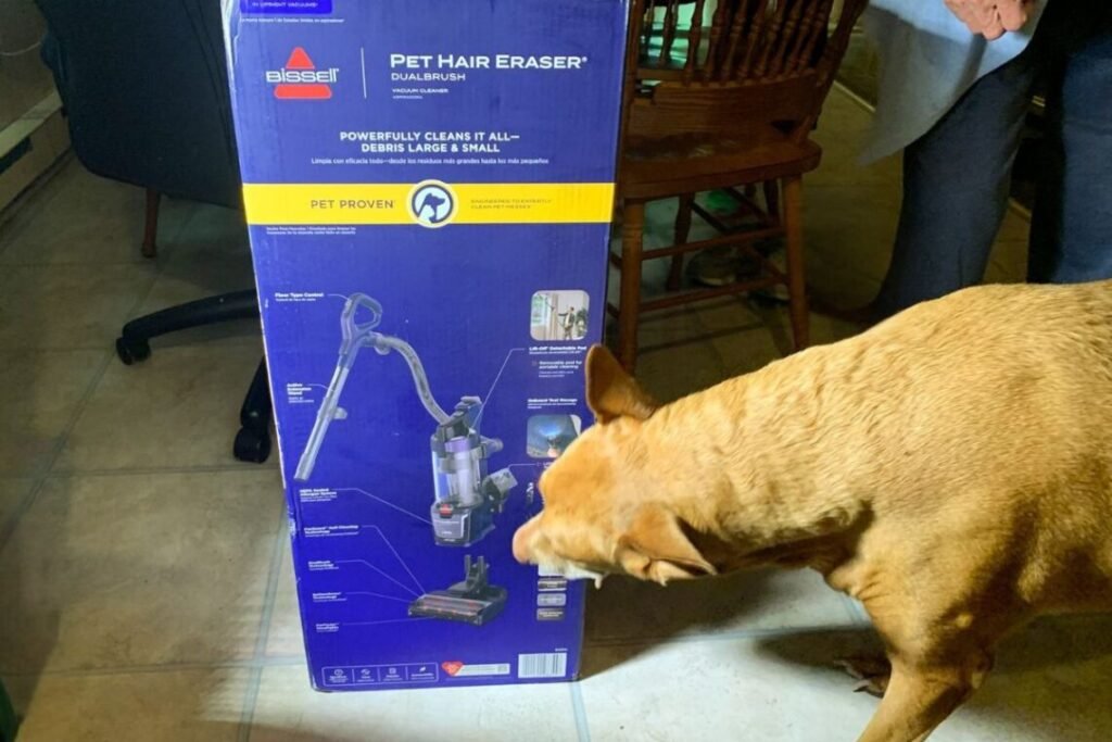 Freya with the Bissel Pet Hair Eraser DualBrush Upright Vacuum