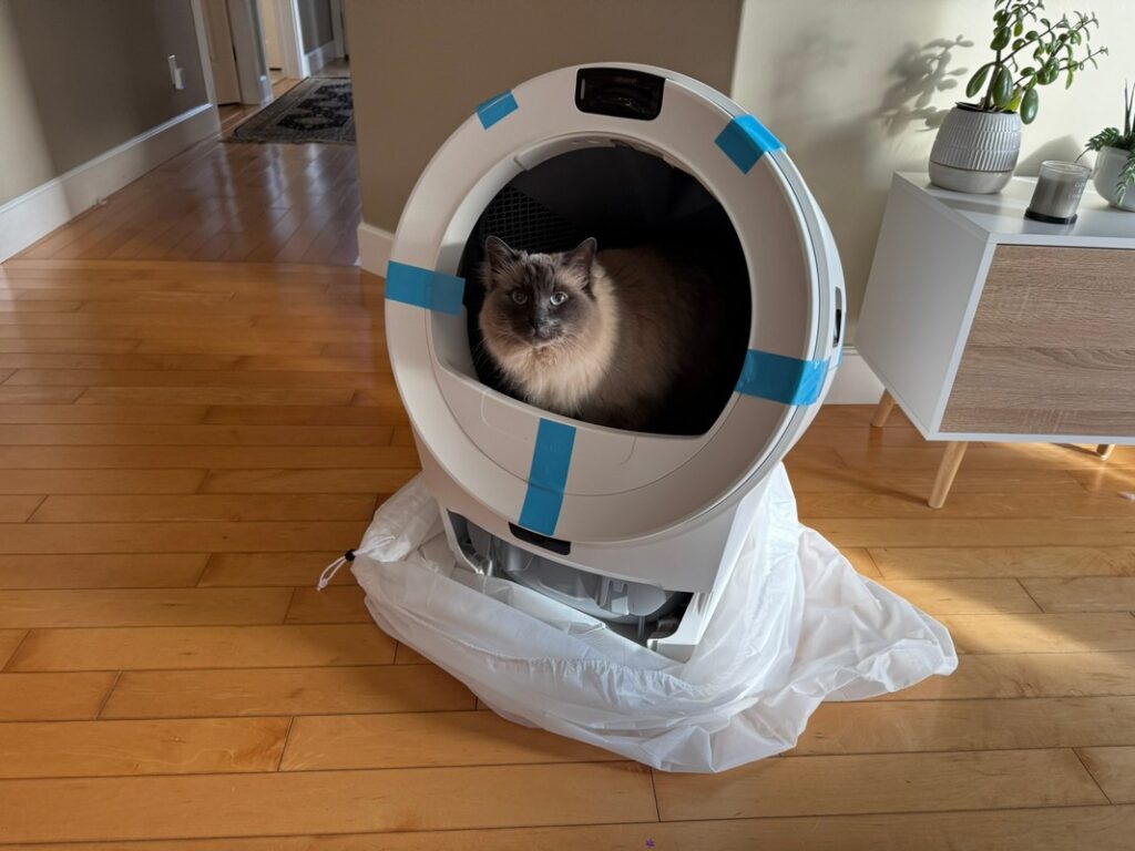 Milo in Litter Robot 5