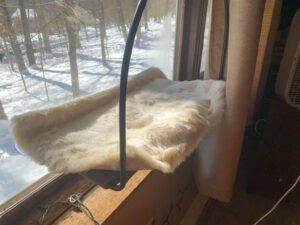 Tuft & Paw Cloud Nine Window Hammock with Leia the cat