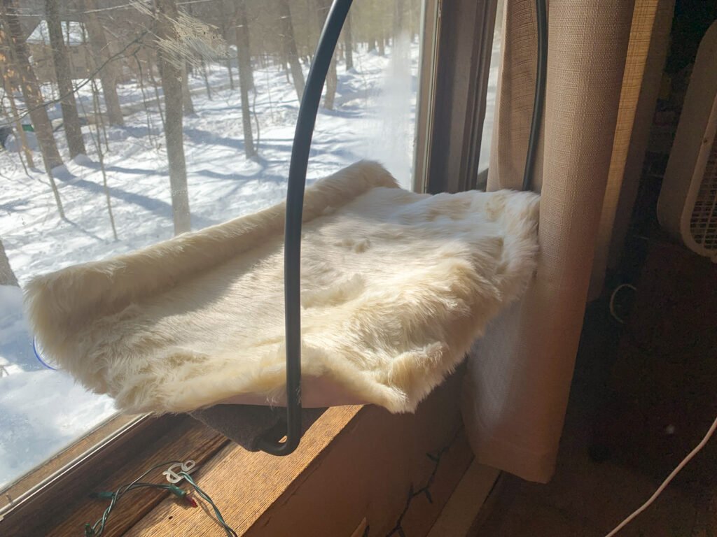 Tuft & Paw Cloud Nine Window Hammock with Leia the cat