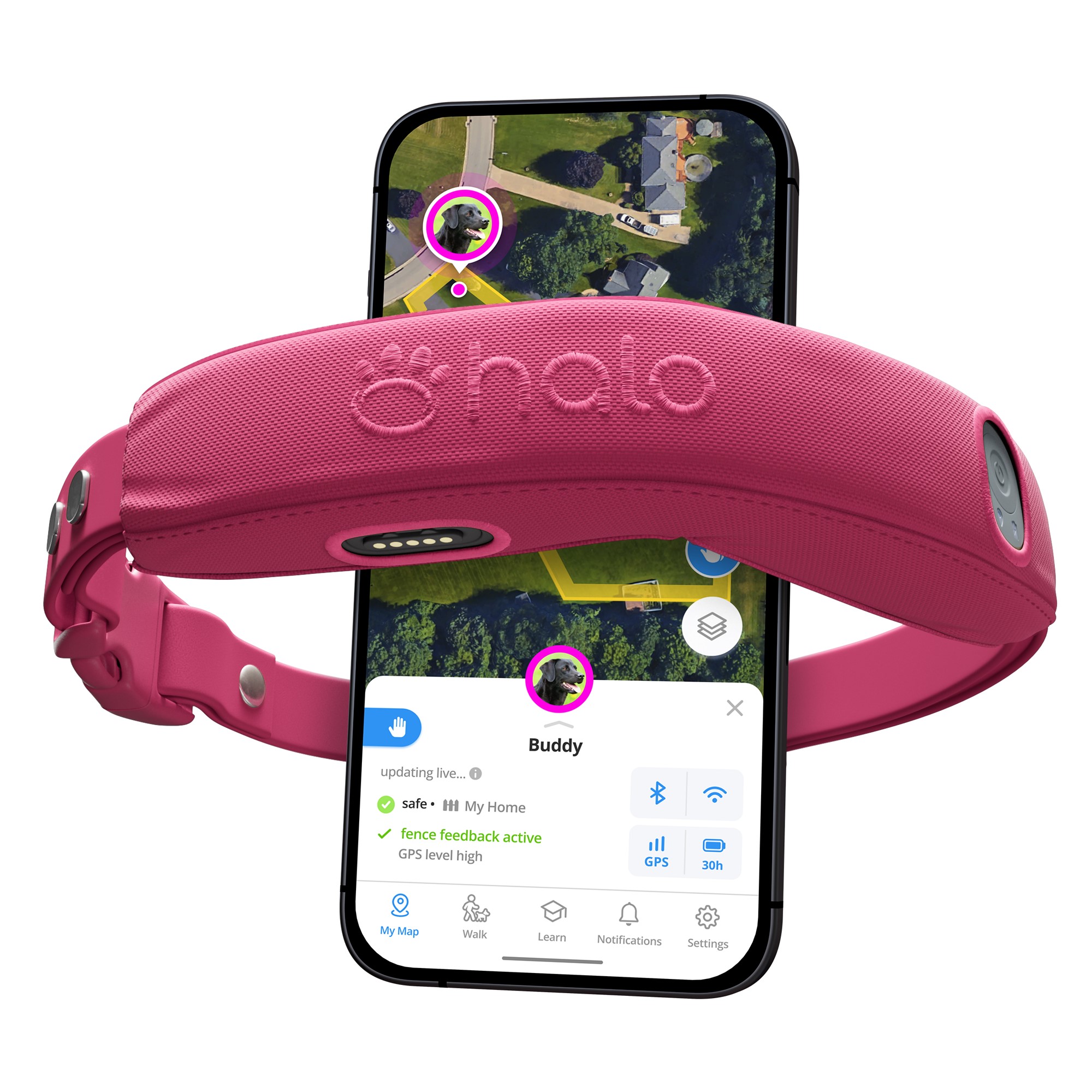 Halo Collar 5 - GPS wireless dog fence