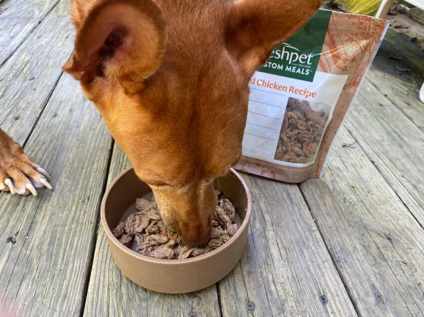 Freshpet Delivery Food for Dogs