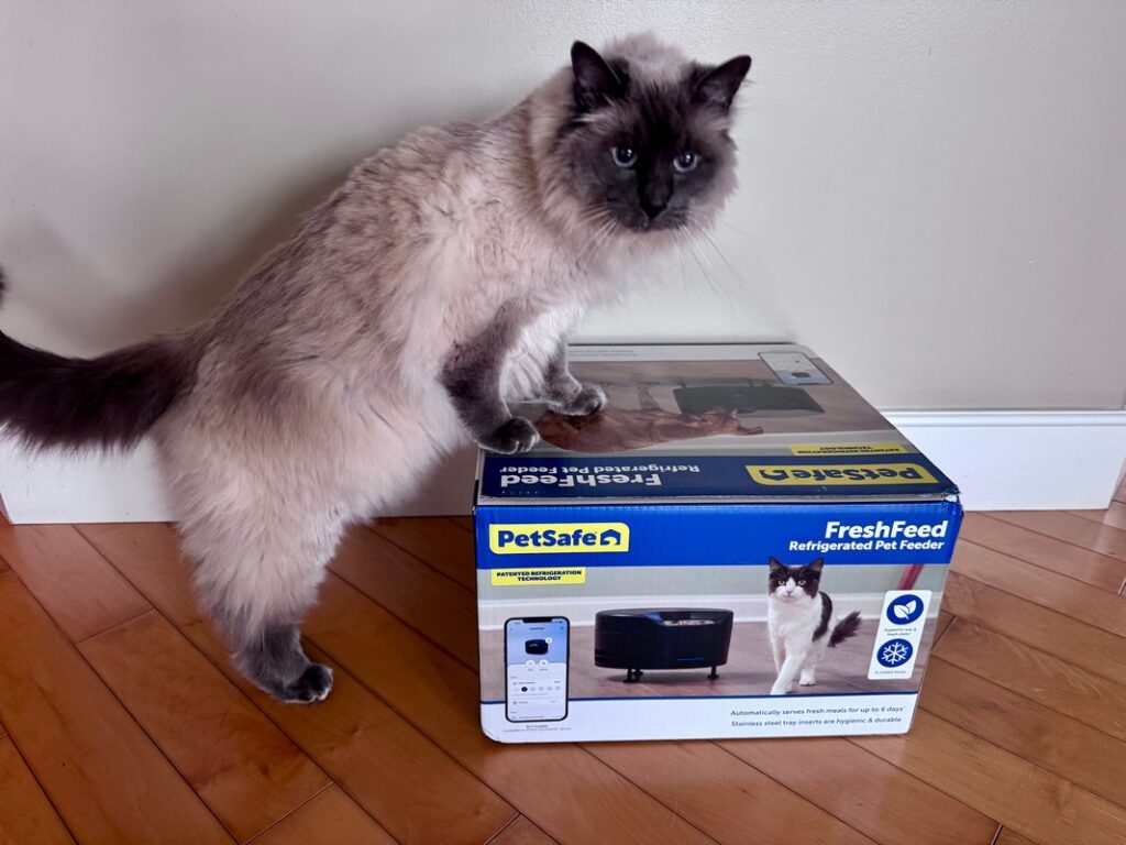 PetSafe FreshFeed