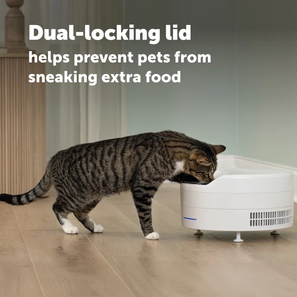 PetSafe FreshFeed Refrigerated Pet Feeder