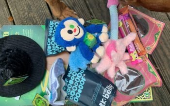 Barkbox dog subscription box items