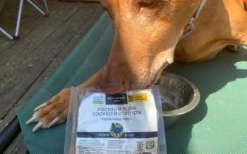 ButcherBox-For-Pets-fresh-dog-food-review-11-850x611