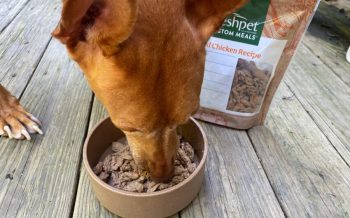 Freshpet Delivery Food for Dogs