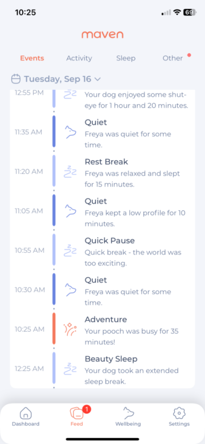 activity-log-maven-473x1024