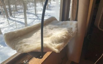 Tuft & Paw Cloud Nine Window Hammock with Leia the cat