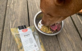 the-farmers-dog-food-review-16-850x637